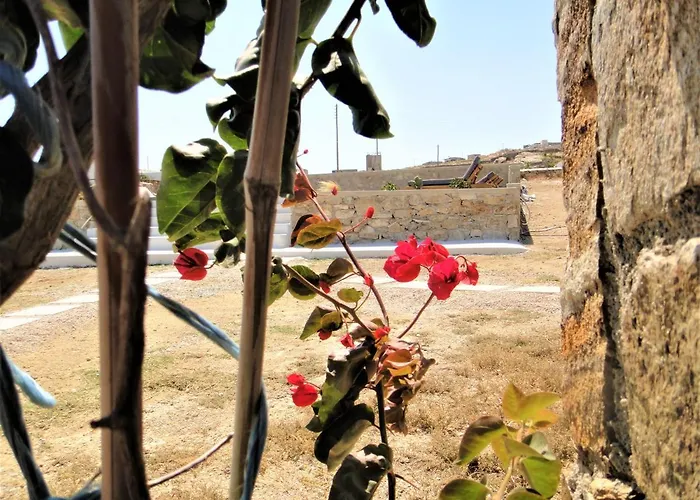 Megusta Mykonos טורלוס